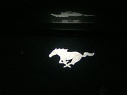 Mustang_rent a car in Minsk