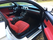 Mustang_rent a car in Minsk