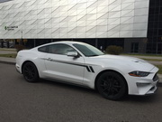 Mustang_rent a car in Minsk