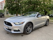 Mustang Cabrio Car Hire in Minsk