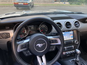Mustang Cabrio Car Hire in Minsk